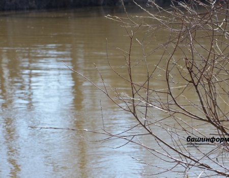 В Уфе ожидается выход воды в реке Белой на пойму