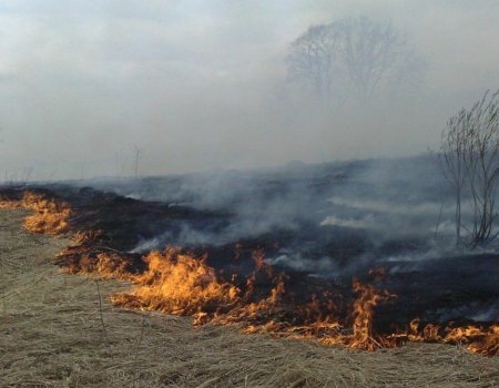 Тема – огонь! Шесть главных вопросов про противопожарный сезон в Башкирии