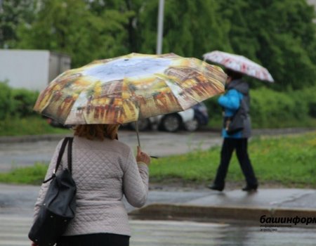 Погода в Башкирии на сегодня: кратковременные дожди и до +19°