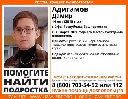 В Уфе продолжаются поиски пропавшего в марте 14-летнего Дамира Адигамова