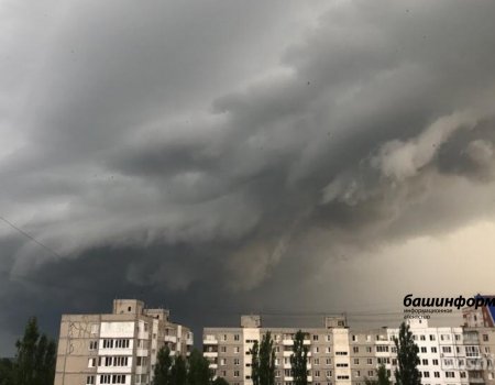 В Башкирии стихией повреждено электроснабжение в 49 населённых пунктах