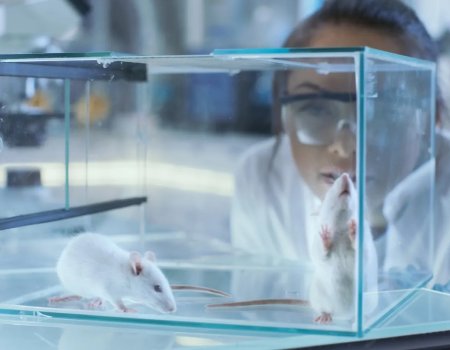 Гинзбург: испытания вакцины от всех видов рака на мышах были успешными