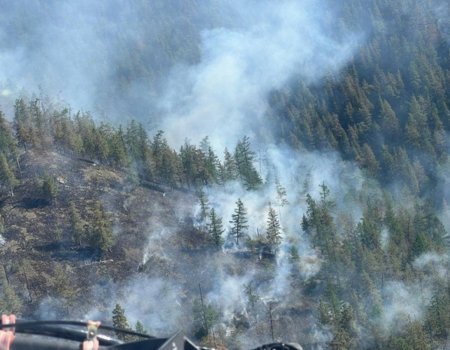 Глава Башкирии поручил строго наказывать виновников лесных пожаров