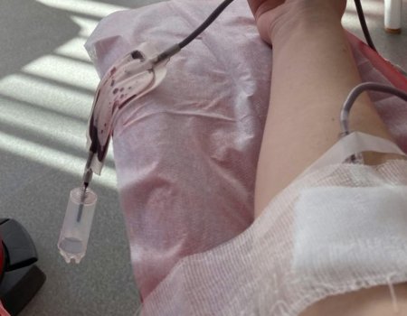 Госдума предлагает приравнять доноров крови к волонтёрам