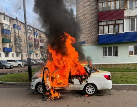 В Башкирии мужчина получил ожоги 44% тела при возгорании автомобиля
