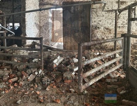 На жителя Башкирии рухнула кирпичная стена помещения кооператива: мужчина погиб