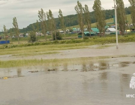В селе Малояз в Башкирии вода сошла со всех подтопленных участков улиц