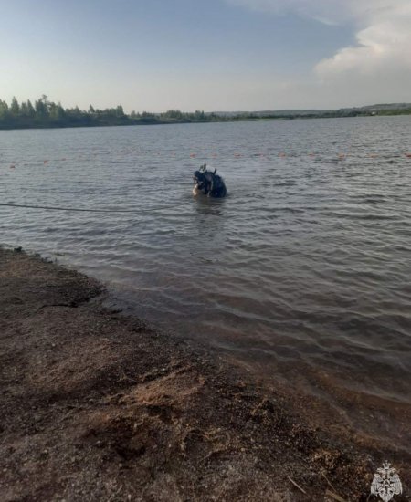 В Башкирии извлекли из воды тела нескольких мужчин