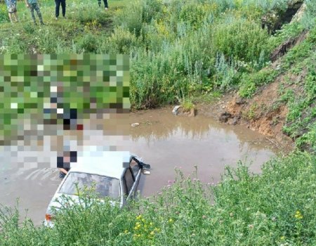 В Башкирии машина упала с моста в воду: погибли двое мужчин