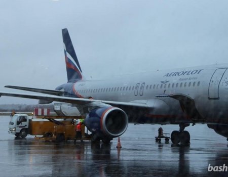 Аэропорт Шереметьево в Москве ввел ограничения на взлёт и посадку из-за непогоды