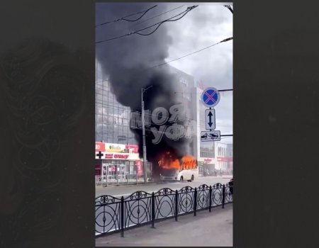 В Стерлитамаке сгорел пассажирский автобус
