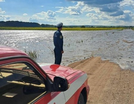 Ситуация под контролем: в Башкирии затопило дорогу, ведущую к детским лагерям