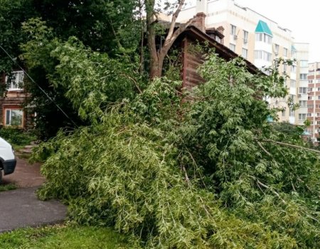 Падение дерева в Уфе стало возможной причиной смерти женщины