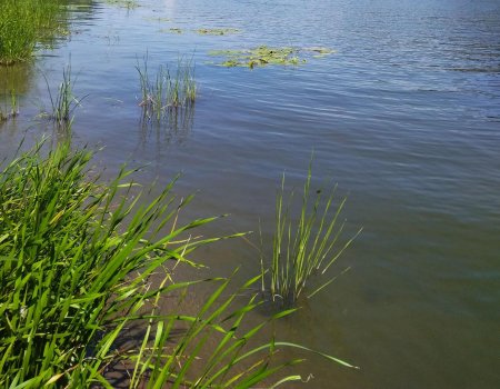 Внимание! УГЗ Уфы информирует граждан о повышении уровня воды в реках