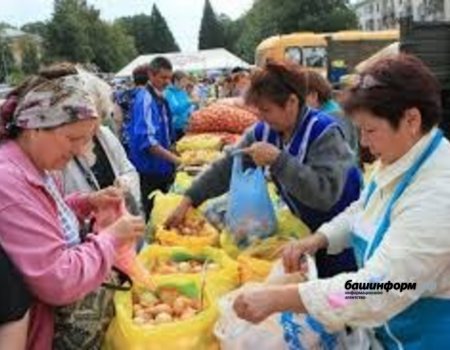 В выходные в Уфе пройдут сельхозярмарки