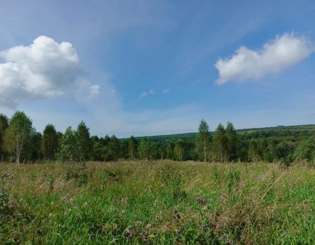 Синоптики опубликовали прогноз погоды в нашей республике на ближайшие три дня