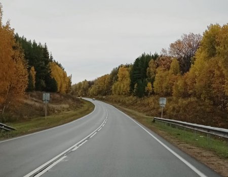 Стало известно, когда в Уфу придут холода