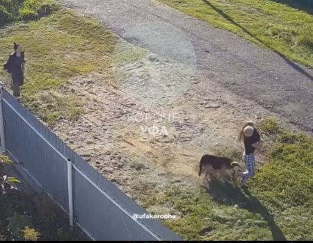 В Уфе соседский пес набросился на детей – видео