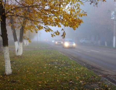 В Башкирии на дорогах утром ожидается туман