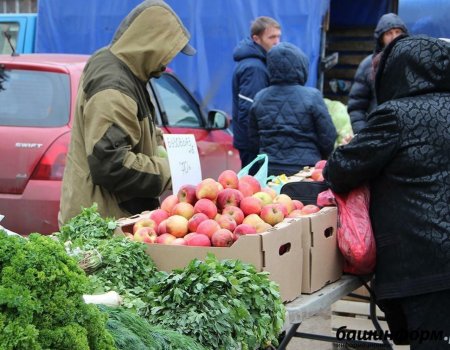 Жителей Уфы в выходные приглашают на сельхозярмарки